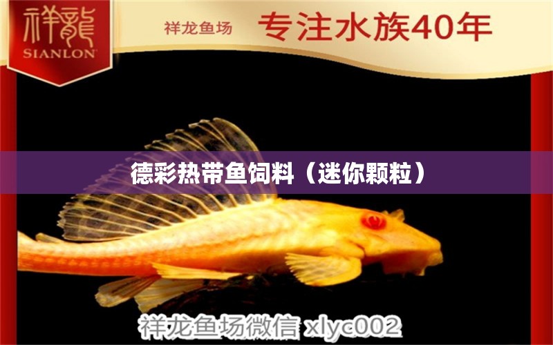 德彩熱帶魚飼料（迷你顆粒）