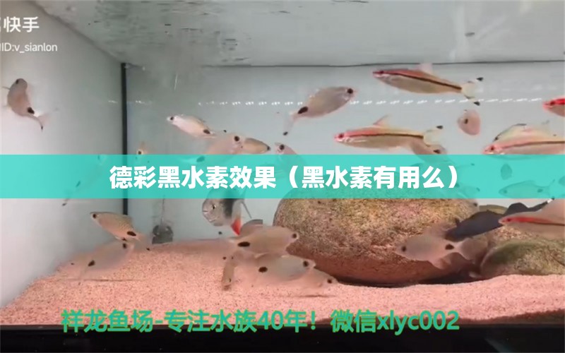 德彩黑水素效果（黑水素有用么） 黑水素