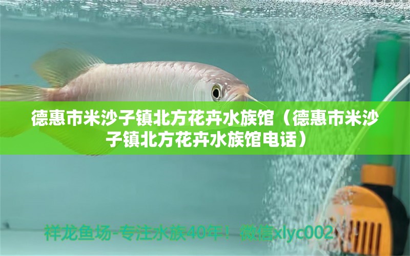 德惠市米沙子鎮(zhèn)北方花卉水族館（德惠市米沙子鎮(zhèn)北方花卉水族館電話）