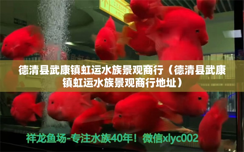 德清縣武康鎮(zhèn)虹運(yùn)水族景觀商行（德清縣武康鎮(zhèn)虹運(yùn)水族景觀商行地址） 全國(guó)水族館企業(yè)名錄