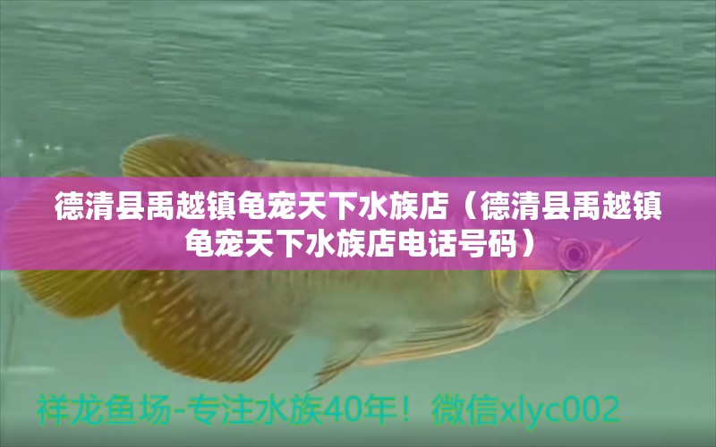 德清縣禹越鎮(zhèn)龜寵天下水族店（德清縣禹越鎮(zhèn)龜寵天下水族店電話號(hào)碼） 烏龜