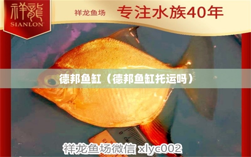 德邦魚缸（德邦魚缸托運(yùn)嗎）