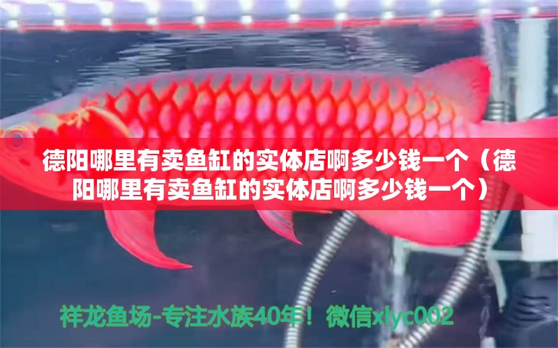 德陽哪里有賣魚缸的實(shí)體店啊多少錢一個（德陽哪里有賣魚缸的實(shí)體店啊多少錢一個）