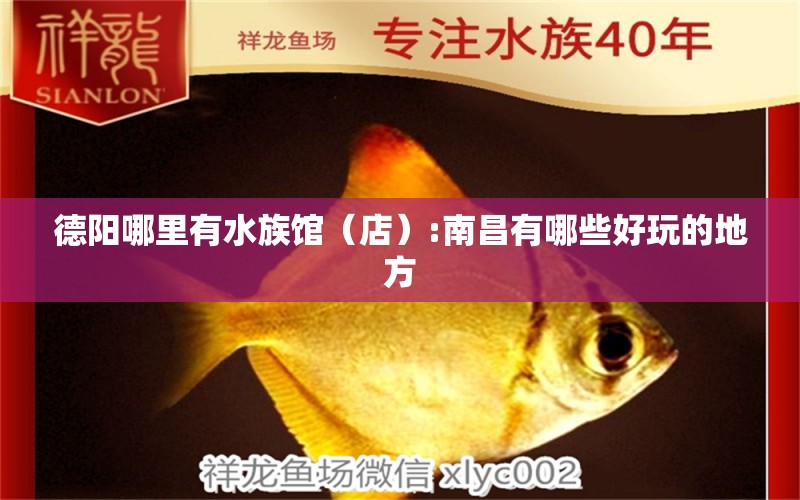 德陽哪里有水族館（店）:南昌有哪些好玩的地方 觀賞魚水族批發(fā)市場