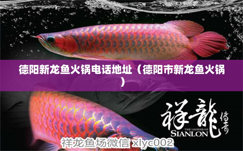 德陽新龍魚火鍋電話地址（德陽市新龍魚火鍋） 馬拉莫寶石魚苗