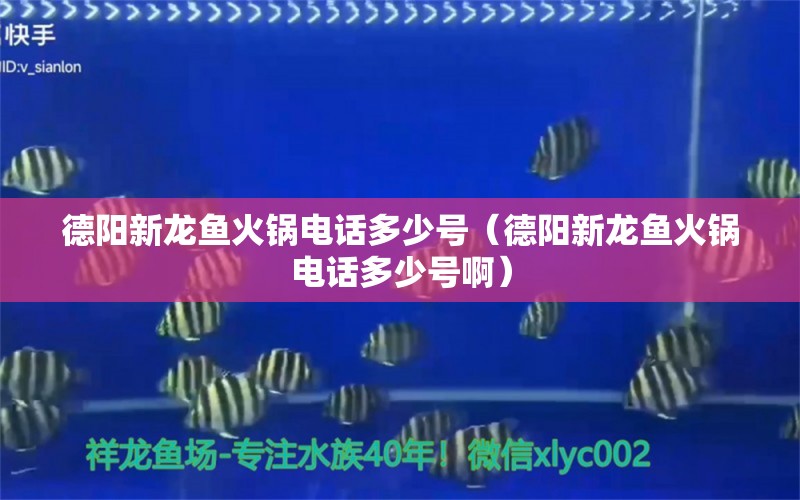 德陽(yáng)新龍魚火鍋電話多少號(hào)（德陽(yáng)新龍魚火鍋電話多少號(hào)?。?祥龍魚場(chǎng)