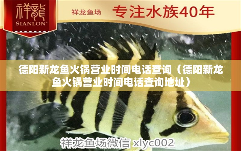 德陽(yáng)新龍魚(yú)火鍋營(yíng)業(yè)時(shí)間電話查詢（德陽(yáng)新龍魚(yú)火鍋營(yíng)業(yè)時(shí)間電話查詢地址）