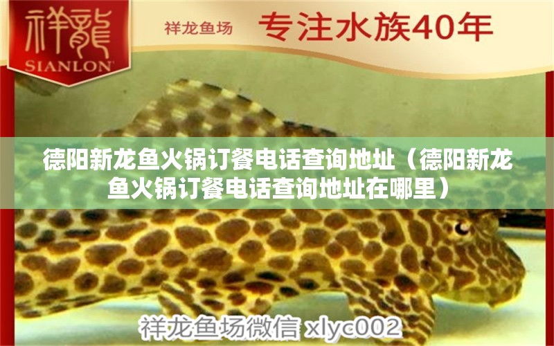 德陽(yáng)新龍魚(yú)火鍋訂餐電話查詢地址（德陽(yáng)新龍魚(yú)火鍋訂餐電話查詢地址在哪里）