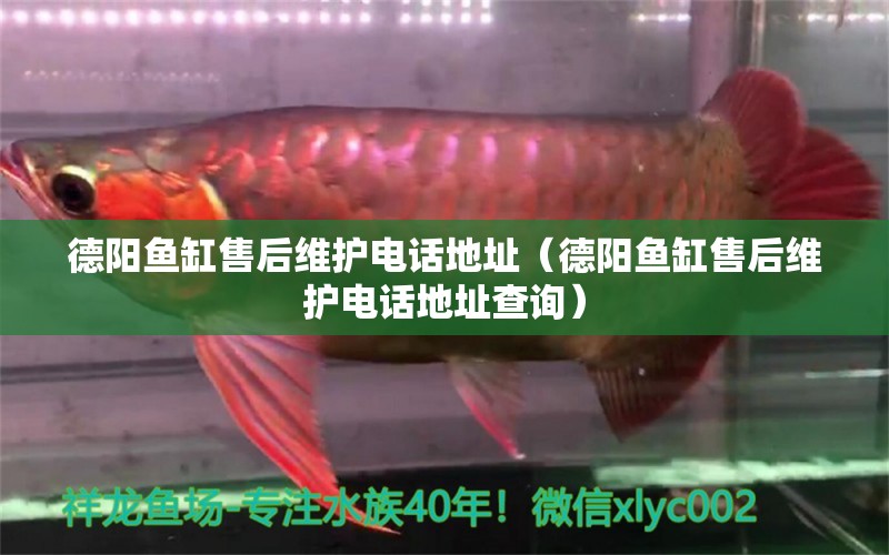 德陽(yáng)魚缸售后維護(hù)電話地址（德陽(yáng)魚缸售后維護(hù)電話地址查詢）