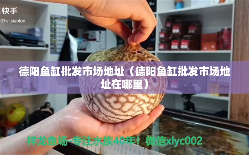 德陽魚缸批發(fā)市場地址（德陽魚缸批發(fā)市場地址在哪里）