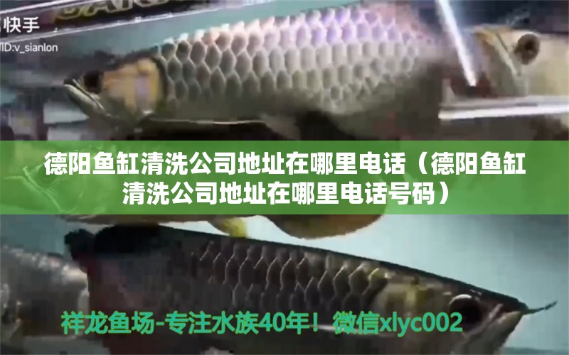 德陽魚缸清洗公司地址在哪里電話（德陽魚缸清洗公司地址在哪里電話號碼）