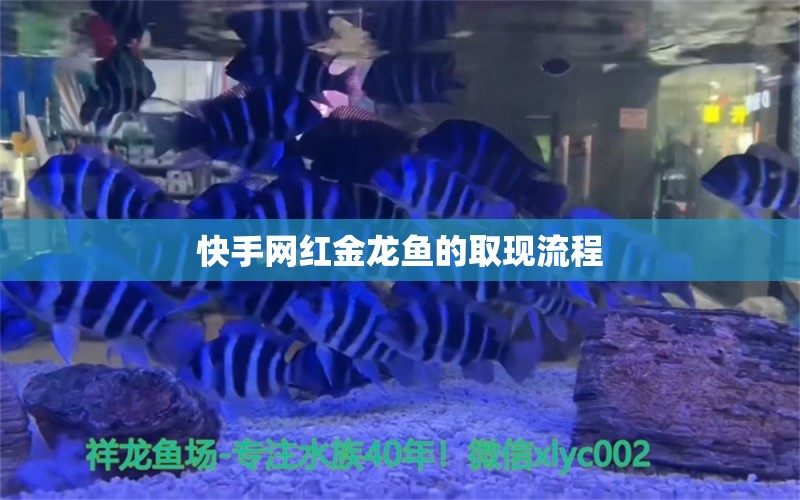 快手網(wǎng)紅金龍魚(yú)的取現(xiàn)流程