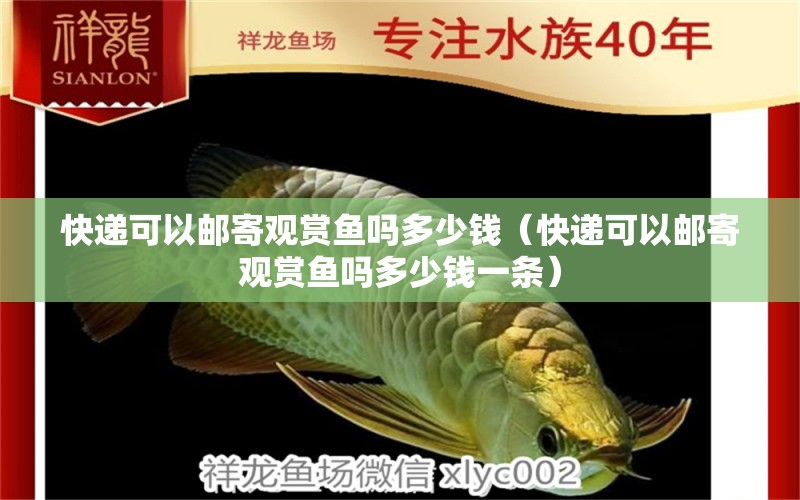 快遞可以郵寄觀賞魚嗎多少錢（快遞可以郵寄觀賞魚嗎多少錢一條）