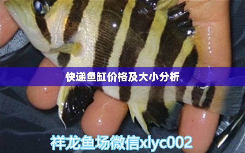 快遞魚缸價格及大小分析