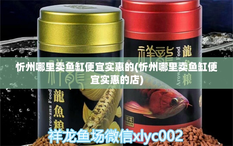 忻州哪里賣魚缸便宜實惠的(忻州哪里賣魚缸便宜實惠的店) 祥龍藍珀金龍魚