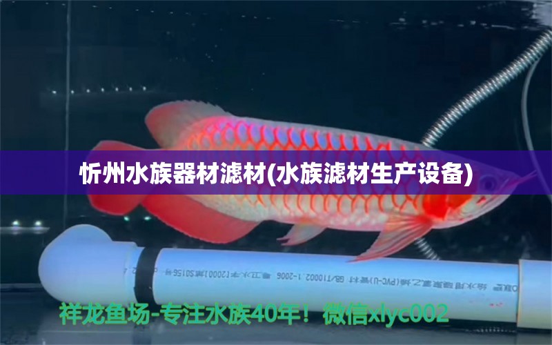 忻州水族器材濾材(水族濾材生產(chǎn)設(shè)備) 祥龍藍(lán)珀金龍魚