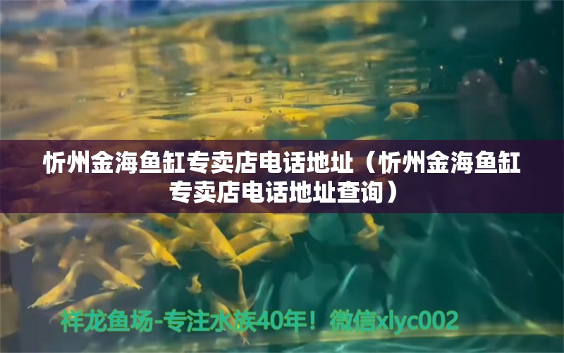 忻州金海魚缸專賣店電話地址（忻州金海魚缸專賣店電話地址查詢）