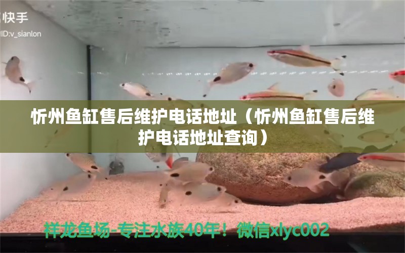 忻州魚缸售后維護(hù)電話地址（忻州魚缸售后維護(hù)電話地址查詢） 其他品牌魚缸