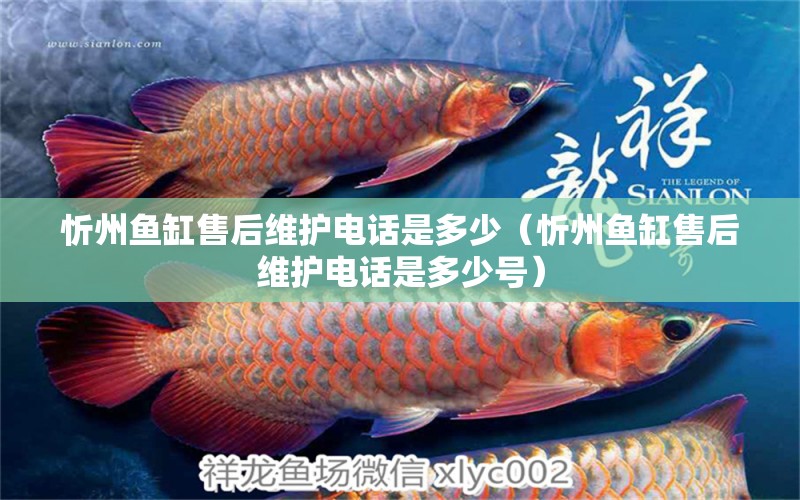 忻州魚缸售后維護電話是多少（忻州魚缸售后維護電話是多少號） 其他品牌魚缸