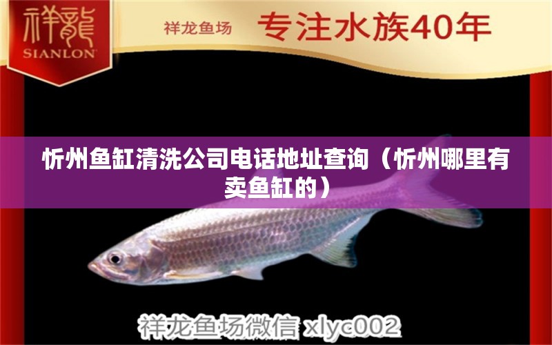 忻州魚(yú)缸清洗公司電話地址查詢(xún)（忻州哪里有賣(mài)魚(yú)缸的）