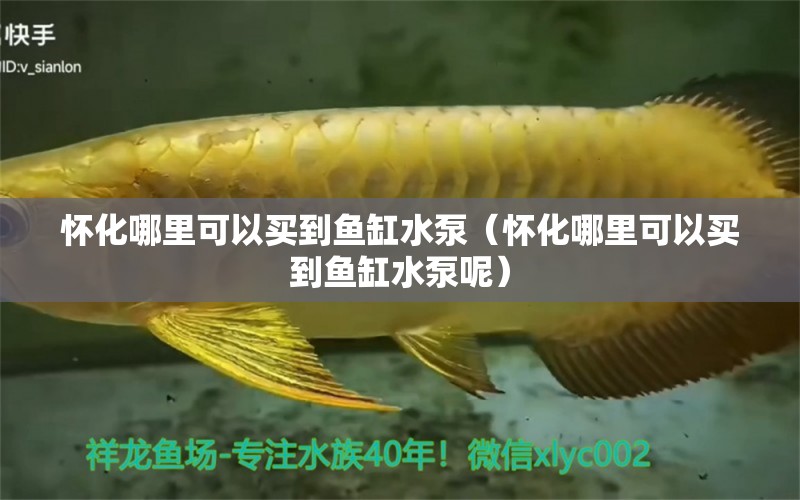 懷化哪里可以買到魚缸水泵（懷化哪里可以買到魚缸水泵呢） 魚缸水泵