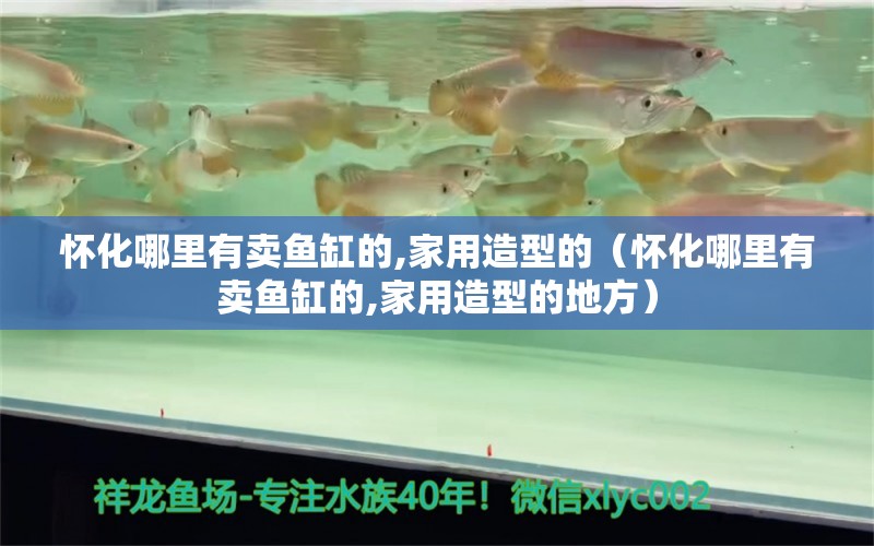 懷化哪里有賣魚缸的,家用造型的（懷化哪里有賣魚缸的,家用造型的地方）