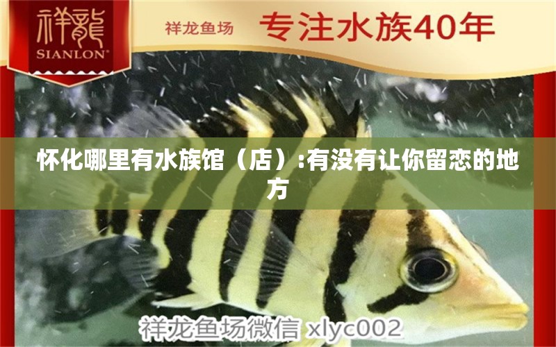 懷化哪里有水族館（店）:有沒(méi)有讓你留戀的地方 觀賞魚(yú)水族批發(fā)市場(chǎng)