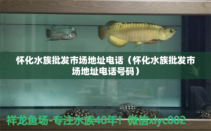 懷化水族批發(fā)市場地址電話（懷化水族批發(fā)市場地址電話號碼）