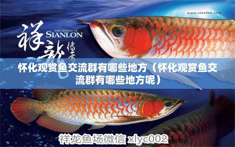 懷化觀賞魚交流群有哪些地方（懷化觀賞魚交流群有哪些地方呢）