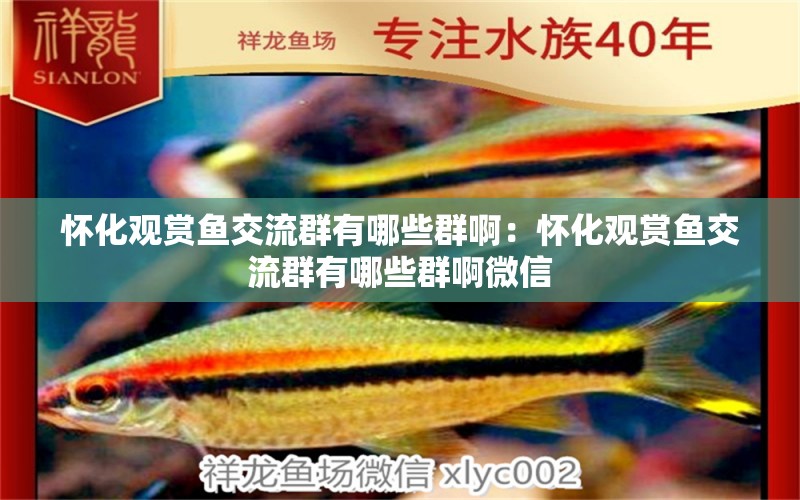 懷化觀賞魚(yú)交流群有哪些群啊：懷化觀賞魚(yú)交流群有哪些群啊微信