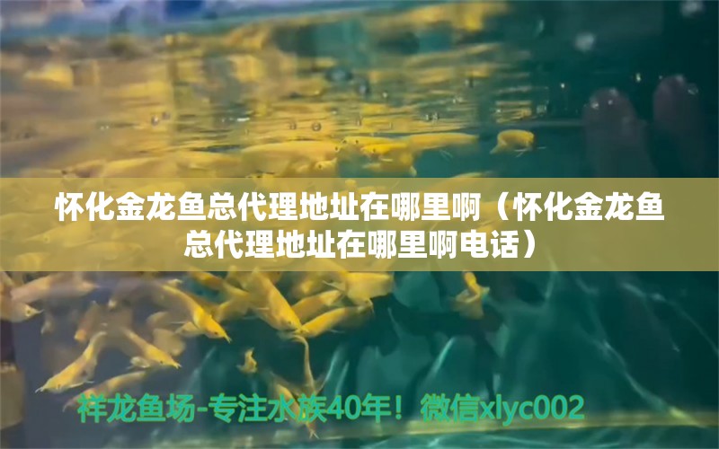 懷化金龍魚總代理地址在哪里?。☉鸦瘕堲~總代理地址在哪里啊電話） 馬拉莫寶石魚