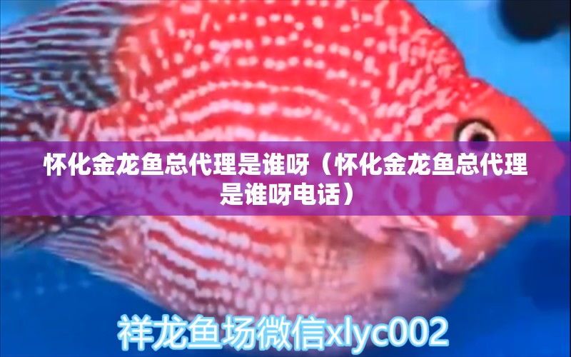 懷化金龍魚(yú)總代理是誰(shuí)呀（懷化金龍魚(yú)總代理是誰(shuí)呀電話）