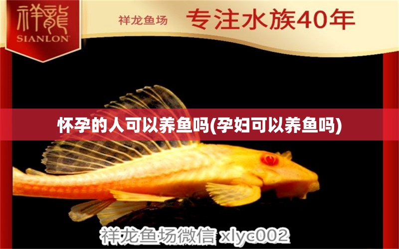 懷孕的人可以養(yǎng)魚嗎(孕婦可以養(yǎng)魚嗎) 九鼎魚缸