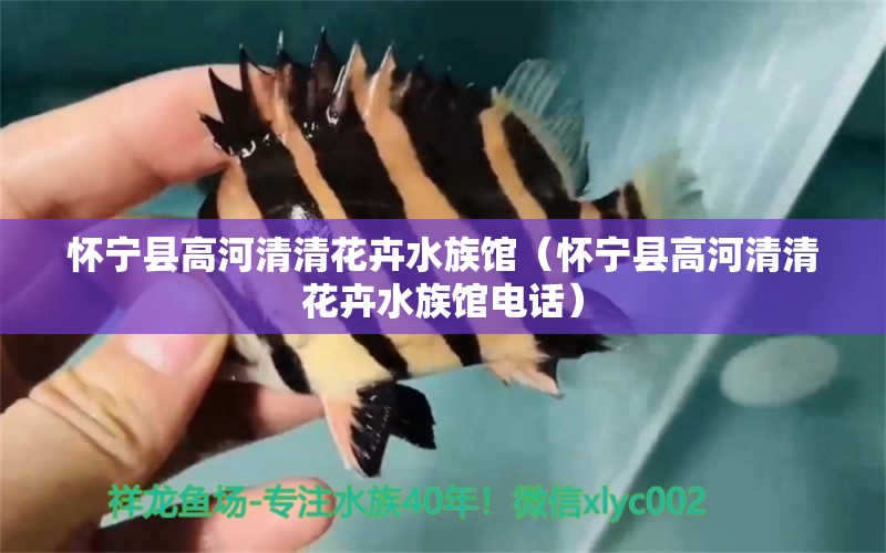 懷寧縣高河清清花卉水族館（懷寧縣高河清清花卉水族館電話）