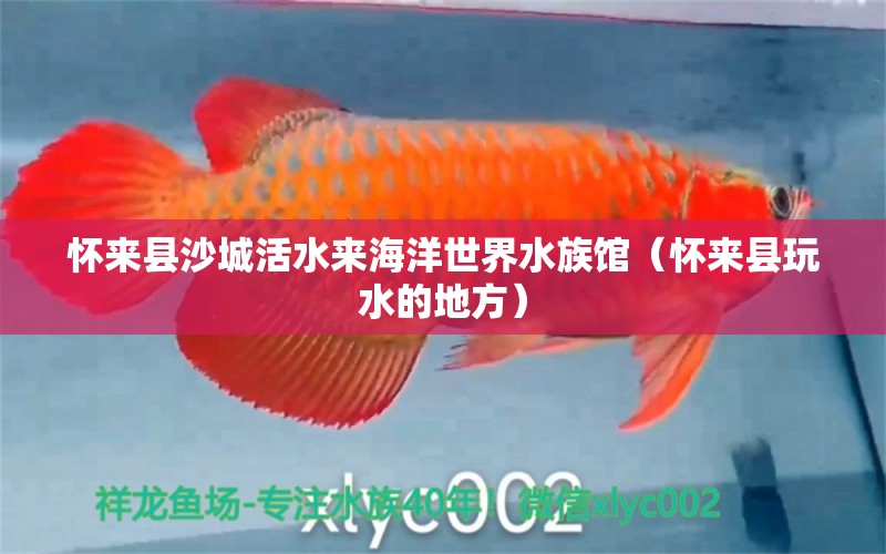 懷來縣沙城活水來海洋世界水族館（懷來縣玩水的地方） 全國水族館企業(yè)名錄