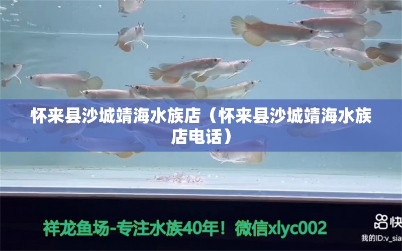 懷來縣沙城靖海水族店（懷來縣沙城靖海水族店電話）