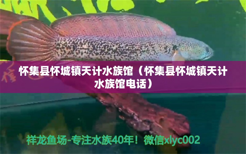 懷集縣懷城鎮(zhèn)天計(jì)水族館（懷集縣懷城鎮(zhèn)天計(jì)水族館電話）