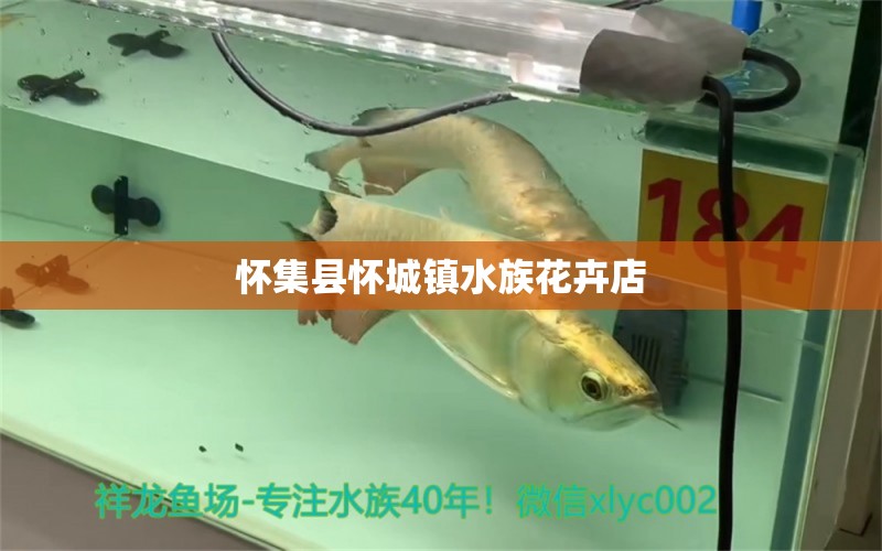 懷集縣懷城鎮(zhèn)水族花卉店