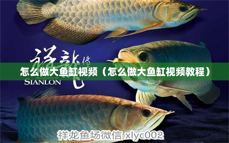 怎么做大魚缸視頻（怎么做大魚缸視頻教程）