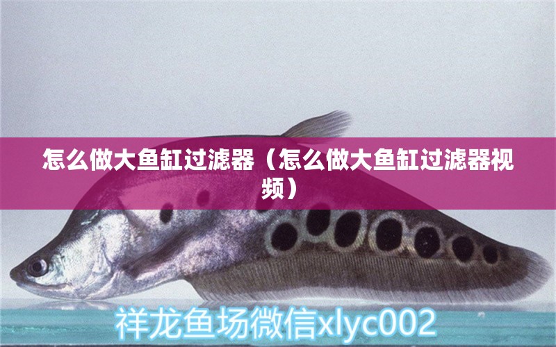 怎么做大魚缸過濾器（怎么做大魚缸過濾器視頻）