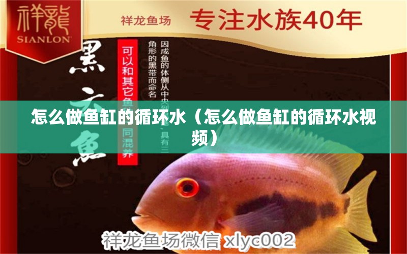 怎么做魚缸的循環(huán)水（怎么做魚缸的循環(huán)水視頻）