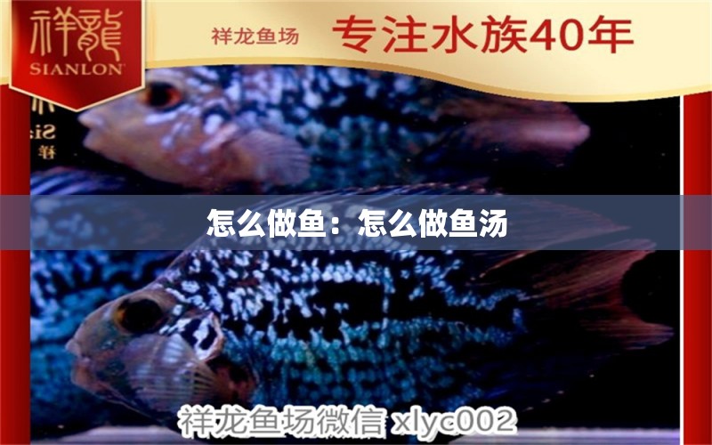 怎么做魚：怎么做魚湯