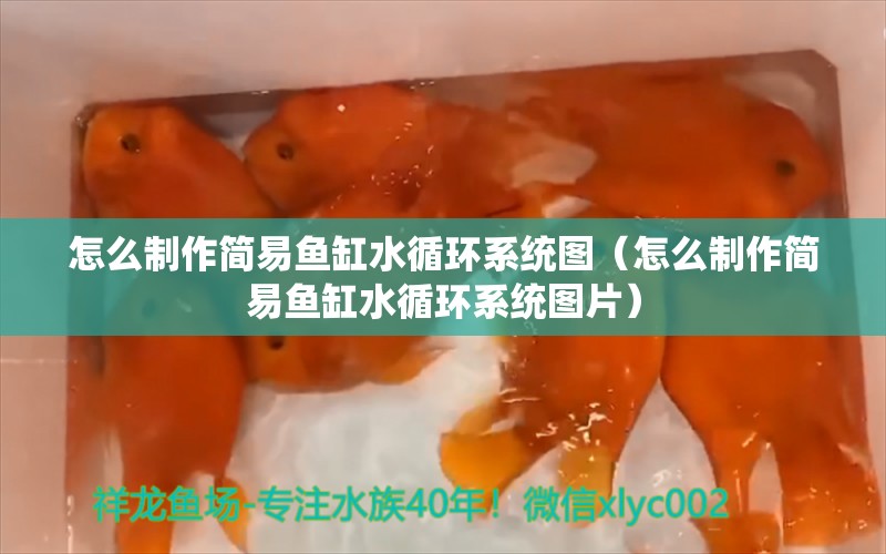 怎么制作簡易魚缸水循環(huán)系統(tǒng)圖（怎么制作簡易魚缸水循環(huán)系統(tǒng)圖片）