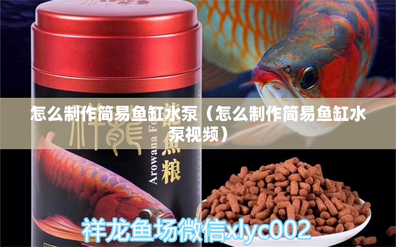 怎么制作簡易魚缸水泵（怎么制作簡易魚缸水泵視頻） 魚缸水泵