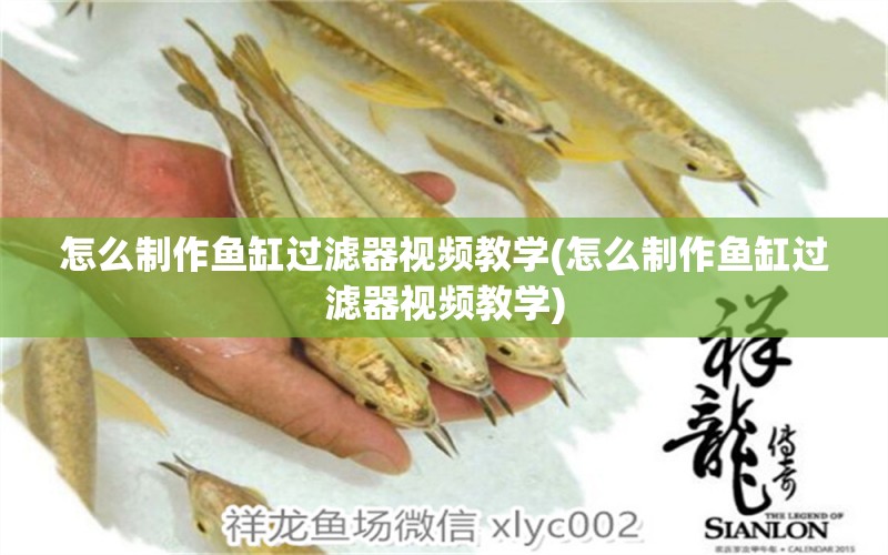 怎么制作魚缸過濾器視頻教學(xué)(怎么制作魚缸過濾器視頻教學(xué))