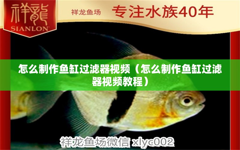 怎么制作魚缸過濾器視頻（怎么制作魚缸過濾器視頻教程） 祥龍水族醫(yī)院