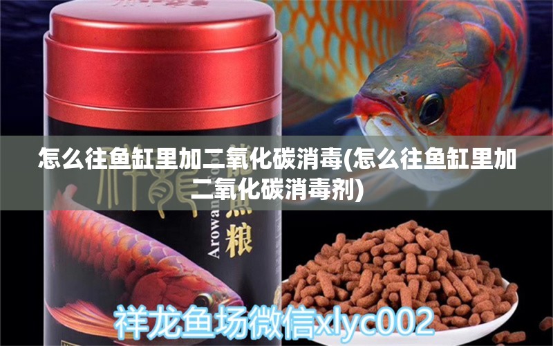 怎么往魚缸里加二氧化碳消毒(怎么往魚缸里加二氧化碳消毒劑) 細(xì)線銀版魚