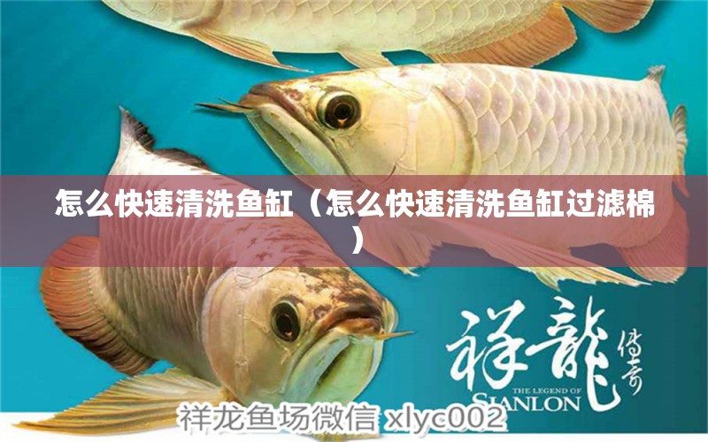 怎么快速清洗魚缸（怎么快速清洗魚缸過濾棉）