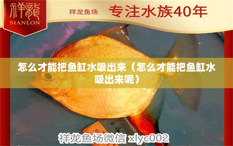 怎么才能把魚缸水吸出來（怎么才能把魚缸水吸出來呢） 祥龍水族醫(yī)院