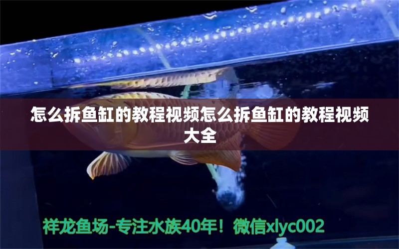 怎么拆魚缸的教程視頻怎么拆魚缸的教程視頻大全 潛水艇魚